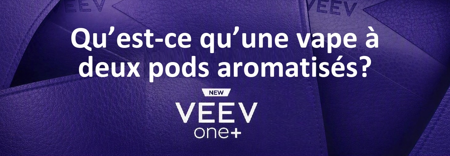 What-is-Dual-Pod-Flavour-Vape-FR