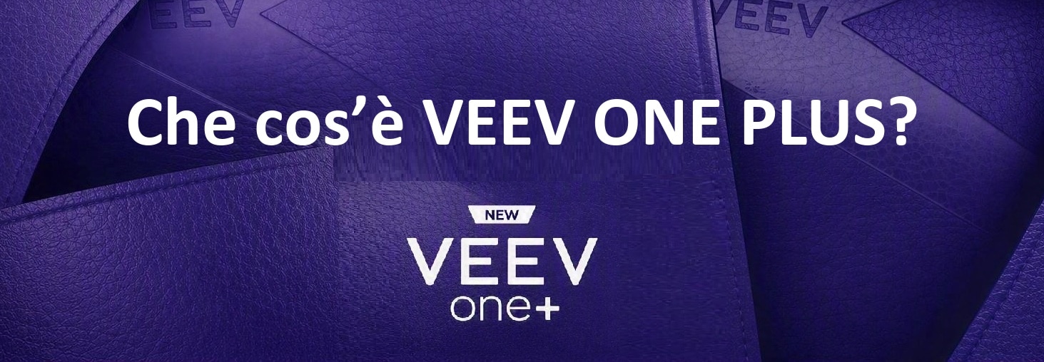 What-is-VEEV-ONE-PLUS-IT