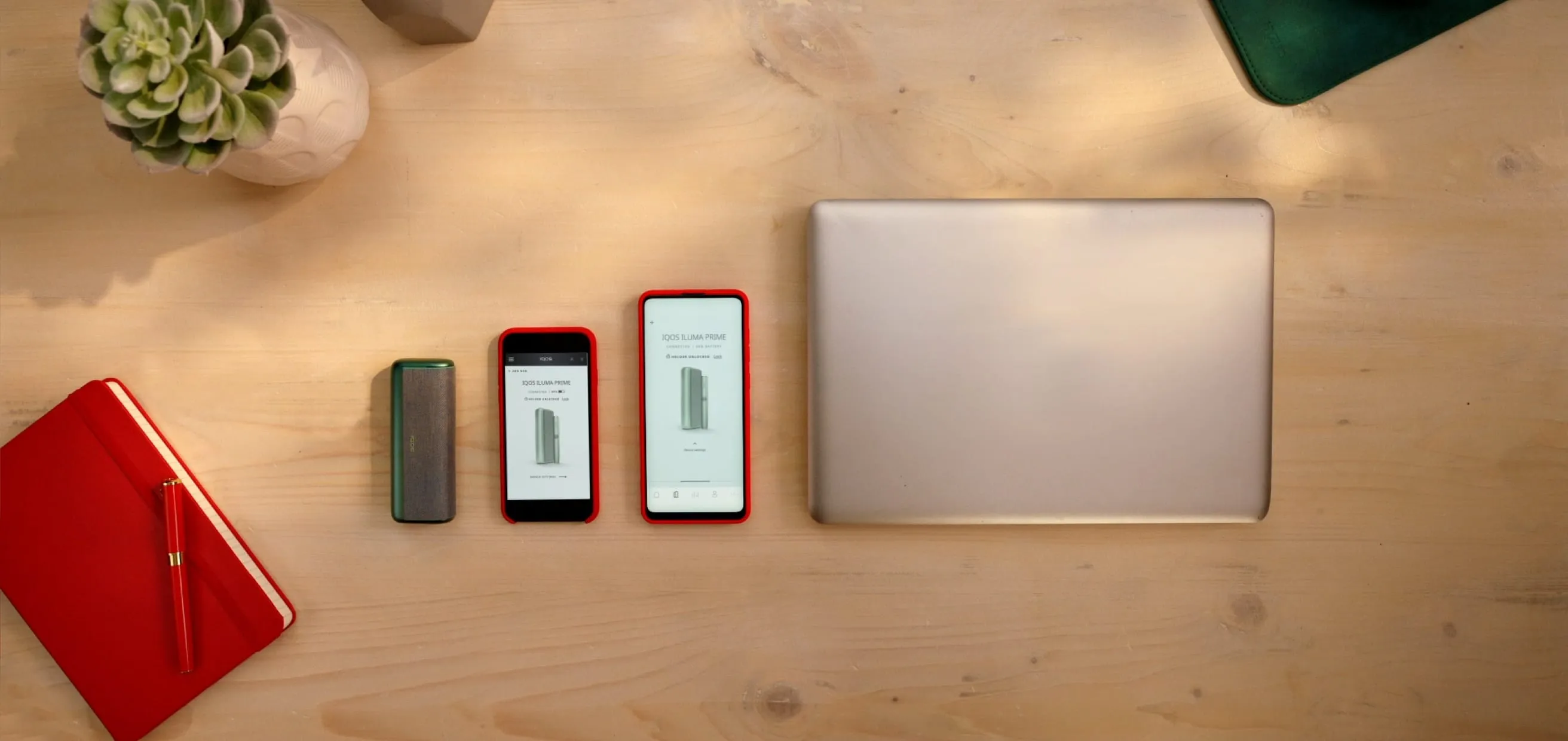 Presentamos Together Club: La Aplicación para Recompensas sin Humo